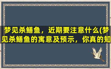 梦见杀鳝鱼，近期要注意什么(梦见杀鳝鱼的寓意及预示，你真的知道吗？)