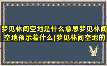 梦见林间空地是什么意思梦见林间空地预示着什么(梦见林间空地的意思及预示，揭示梦境的密意)