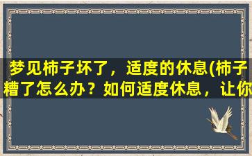 梦见柿子坏了，适度的休息(柿子糟了怎么办？如何适度休息，让你的身体恢复元气)