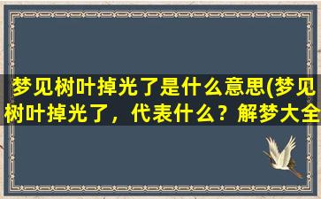 梦见树叶掉光了是什么意思(梦见树叶掉光了，代表什么？解梦大全分享)