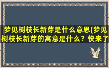 梦见树枝长新芽是什么意思(梦见树枝长新芽的寓意是什么？快来了解！)