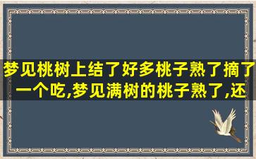 梦见桃树上结了好多桃子熟了摘了一个吃,梦见满树的桃子熟了,还摘着吃了