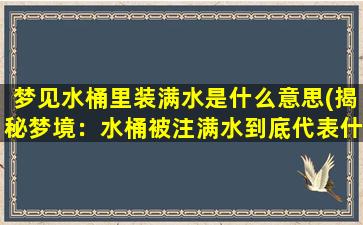 梦见水桶里装满水是什么意思(揭秘梦境：水桶被注满水到底代表什么？)