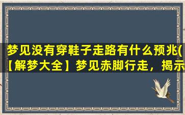 梦见没有穿鞋子走路有什么预兆(【解梦大全】梦见赤脚行走，揭示内心深处的预兆)