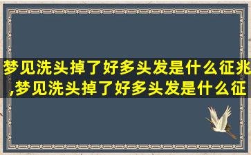 梦见洗头掉了好多头发是什么征兆,梦见洗头掉了好多头发是什么征兆女性