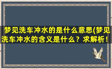 梦见洗车冲水的是什么意思(梦见洗车冲水的含义是什么？求解析！)