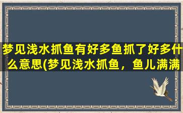 梦见浅水抓鱼有好多鱼抓了好多什么意思(梦见浅水抓鱼，鱼儿满满抓了一把！)