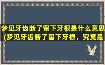 梦见牙齿断了留下牙根是什么意思(梦见牙齿断了留下牙根，究竟是什么寓意？)