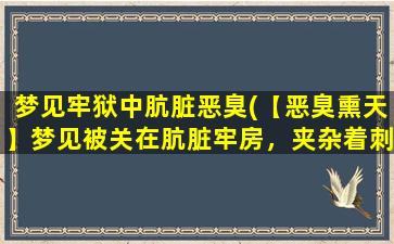 梦见牢狱中肮脏恶臭(【恶臭熏天】梦见被关在肮脏牢房，夹杂着刺鼻嗅觉！)