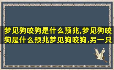 梦见狗咬狗是什么预兆,梦见狗咬狗是什么预兆梦见狗咬狗,另一只狗吐了