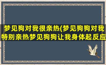 梦见狗对我很亲热(梦见狗狗对我特别亲热梦见狗狗让我身体起反应)