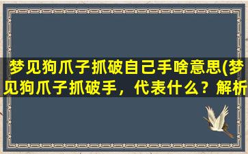 梦见狗爪子抓破自己手啥意思(梦见狗爪子抓破手，代表什么？解析和分析！)