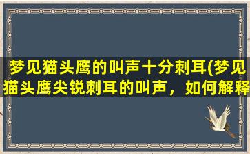 梦见猫头鹰的叫声十分刺耳(梦见猫头鹰尖锐刺耳的叫声，如何解释，常见的预兆及对人的影响)