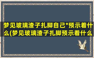 梦见玻璃渣子扎脚自己*预示着什么(梦见玻璃渣子扎脚预示着什么？拔出渣子寓意深刻！)