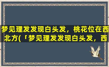 梦见理发发现白头发，桃花位在西北方(「梦见理发发现白头发，西北方桃花位，教你SEO提升技巧」)