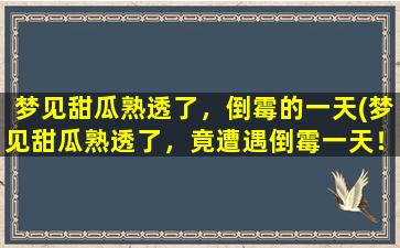 梦见甜瓜熟透了，倒霉的一天(梦见甜瓜熟透了，竟遭遇倒霉一天！)