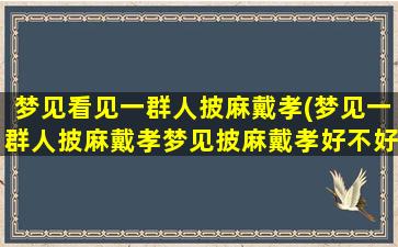 梦见看见一群人披麻戴孝(梦见一群人披麻戴孝梦见披麻戴孝好不好)