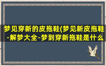 梦见穿新的皮拖鞋(梦见新皮拖鞋-解梦大全-梦到穿新拖鞋是什么意思？)