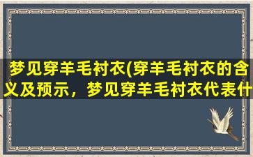 梦见穿羊毛衬衣(穿羊毛衬衣的含义及预示，梦见穿羊毛衬衣代表什么？)