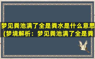 梦见粪池满了全是粪水是什么意思(梦境解析：梦见粪池满了全是粪水原来暗含这个含义！)