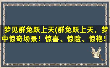 梦见群兔跃上天(群兔跃上天，梦中惊奇场景！惊喜、惊险、惊艳！)