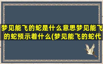 梦见能飞的蛇是什么意思梦见能飞的蛇预示着什么(梦见能飞的蛇代表什么？预示什么？快了解一下！)