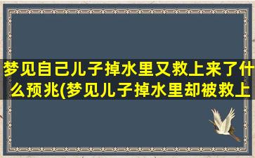 梦见自己儿子掉水里又救上来了什么预兆(梦见儿子掉水里却被救上来，这意味着什么？)