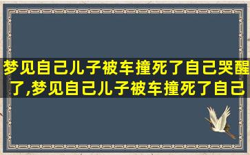 梦见自己儿子被车撞死了自己哭醒了,梦见自己儿子被车撞死了自己哭醒了什么意思