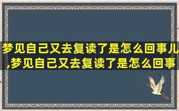 梦见自己又去复读了是怎么回事儿,梦见自己又去复读了是怎么回事儿啊