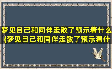 梦见自己和同伴走散了预示着什么(梦见自己和同伴走散了预示着什么？解析与分析！)