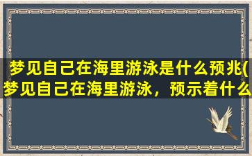 梦见自己在海里游泳是什么预兆(梦见自己在海里游泳，预示着什么？)