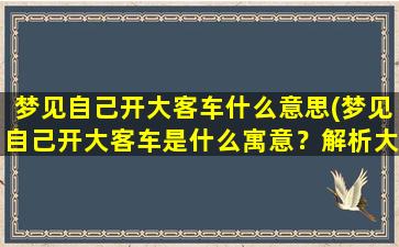 梦见自己开大客车什么意思(梦见自己开大客车是什么寓意？解析大客车梦境的含义)