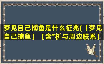 梦见自己捕鱼是什么征兆(【梦见自己捕鱼】【含*析与周边联系】)