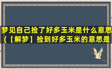 梦见自己捡了好多玉米是什么意思(【解梦】捡到好多玉米的意思是什么？)