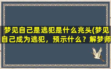 梦见自己是逃犯是什么兆头(梦见自己成为逃犯，预示什么？解梦师为你解答)