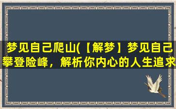 梦见自己爬山(【解梦】梦见自己攀登险峰，解析你内心的人生追求)