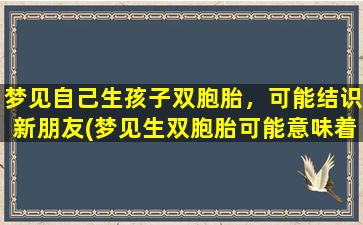 梦见自己生孩子双胞胎，可能结识新朋友(梦见生双胞胎可能意味着新朋友的到来，解析梦境涵义)