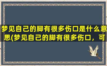 梦见自己的脚有很多伤口是什么意思(梦见自己的脚有很多伤口，可能代表的寓意是什么？)