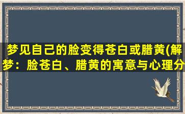 梦见自己的脸变得苍白或腊黄(解梦：脸苍白、腊黄的寓意与心理分析)