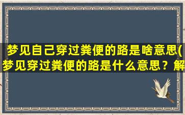 梦见自己穿过粪便的路是啥意思(梦见穿过粪便的路是什么意思？解析梦境中的象征含义)