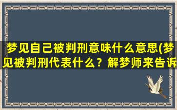 梦见自己被判刑意味什么意思(梦见被判刑代表什么？解梦师来告诉你！)