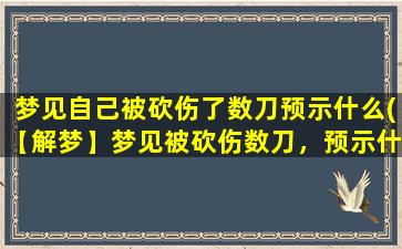 梦见自己被砍伤了数刀预示什么(【解梦】梦见被砍伤数刀，预示什么？)