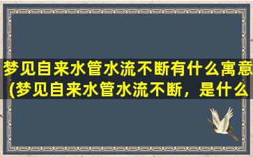 梦见自来水管水流不断有什么寓意(梦见自来水管水流不断，是什么意思？解析梦境寓意，了解自我内心。)