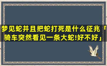 梦见蛇并且把蛇打死是什么征兆「骑车突然看见一条大蛇!好不好」