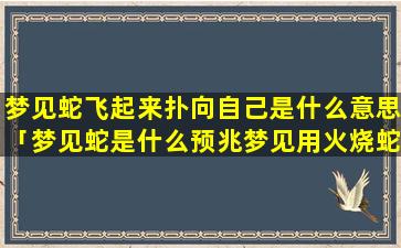 梦见蛇飞起来扑向自己是什么意思「梦见蛇是什么预兆梦见用火烧蛇」