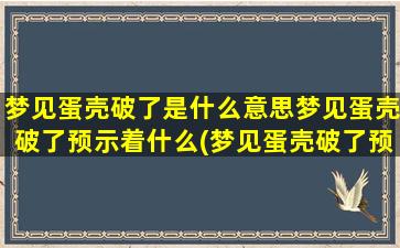 梦见蛋壳破了是什么意思梦见蛋壳破了预示着什么(梦见蛋壳破了预示着什么？解梦专家告诉你！)