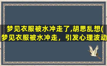 梦见衣服被水冲走了,胡思乱想(梦见衣服被水冲走，引发心理波动，情绪低落！)