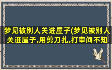 梦见被别人关进屋子(梦见被别人关进屋子,用剪刀扎,打审问不知道的人)