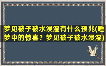 梦见被子被水浸湿有什么预兆(睡梦中的惊喜？梦见被子被水浸湿)