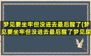 梦见要坐牢但没进去最后醒了(梦见要坐牢但没进去最后醒了梦见尿血出来了肠子)